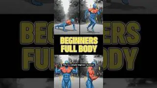 Beginner Full Body Workout 🔥 No Experience Needed.