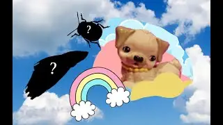 Puppies go to the Bug and Fish Museum! Bonus visit to StarBarks!!!