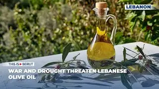 War and Drought Threaten Lebanese Olive Oil