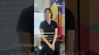 Professor Spotlight: Dr. Anne Miller, Physical Therapist Assistant Program
