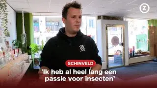 Mieren kopen doe je in Schinveld bij Marijn 🐜  | ZO-NWS
