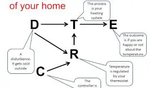 Ashby's Law of Requisite Variety and Systems in Operations Management