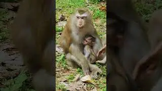 Adorable baby breastfed by mom #07