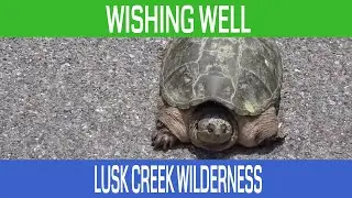 Exploring Lusk Creek Wilderness in the Shawnee National Forest