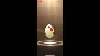 HATCHING 12 km red eggs X 12 in POKEMON GO