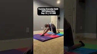 Day: 31 of training everyday until 500 subscribers