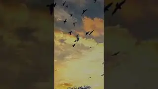 Template Video Background Full Screen | light Effect | Kinemaster Template Black Screen Status
