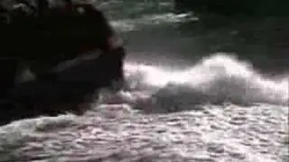 Shotover River Crazy Jet Boat Ride