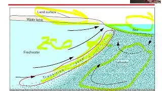 Master - [15] Seawater intrusion - Spring 2020