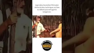 How to Survive a Kangaroo Showdown!