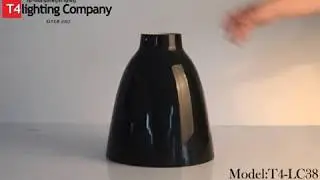 T4 LC38
