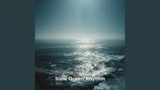 Steady Tidal Rhythm, Pt.17