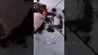 🎨 Hair Art Surprise ✂️ #barberart  #haircreativity #shorts