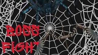Lp. Золотое издание special episode, boss fight, spider quinn