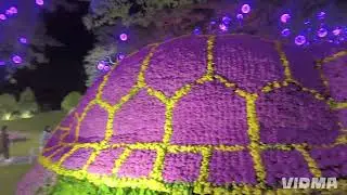 ၸူဝ်းလေႇတူၺ်းသွၼ်မွၵ်ႇ