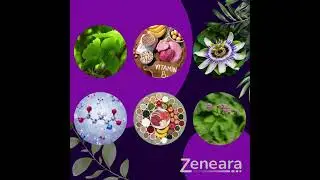 🧠✨ Zeneara &ndash; Advanced Nerve & Brain Support Formula ✨🧠
