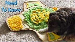 HOPET Snuffle Mat for Large Dogs Review [Slows Dogs Down Eating]