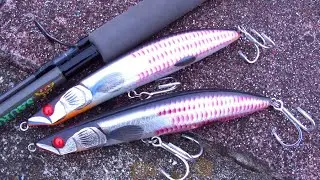 【GINEI Handmade Lure】190-TOBI.PEN-X純銀箔プラチナ箔ピラルク魚