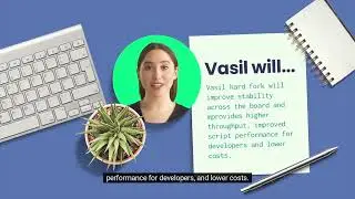 What is the Vasil Hard Fork on the Cardano blockchain?