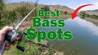 Most Productive Bank Fishing Spots To Catch More Largemouth Bass (Gauteng)