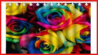 Wknoon 72 x 72 Inch Shower Curtain with Hooks, Vintage Colorful Rainbow Rose Flowers Floral Art