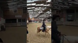 EWU Turnier Hungen 2024 /  LK 3 Western Horsemanship