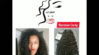 Hair care guide for Burmese Curly | Hairhabit.net