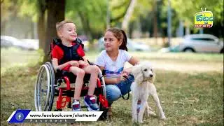 A dog being taken home from school | Chattam TV News #dogshorts #dongscare