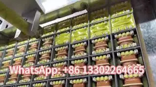 Bi-Component 2 Part  AB Part Silicone Epoxy Polyurethane Glue Potting Machine