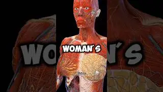 What Happens If Women Eat Watermelon for 2 Weeks 🍉 | Flat Belly, Clear Skin & More
