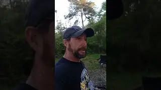 swamp camping on cape fear river with alligators!