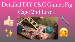 Detailed DIY C&C Guinea Pig Cage 2nd Level! || Piggies World
