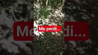 #cordoba#perdida#humor#viral