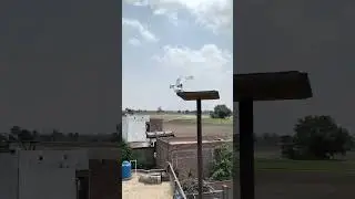 #shorts#ytshorts#youtubeshorts #trendingshorts #kabootarlover #shortsviral #flyingkabootar
