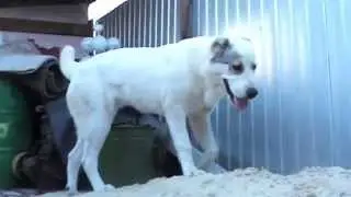 MOV024