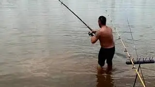 Dorado monstruo