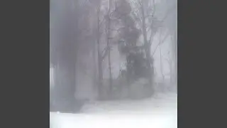 stress enters the blood