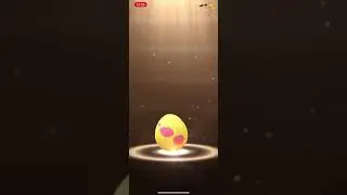 Pokemon Go 7km egg hatch!