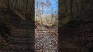 Camping. Hocking Hills. Solo.#campvibes #camping #solocamping #solotravel #camplife