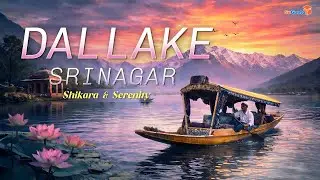 Dal Lake: The Soul of Kashmir | Where Nature, Culture & Calm Meet #DalLake #Kashmir