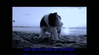 We do not test on animals - REFICIS