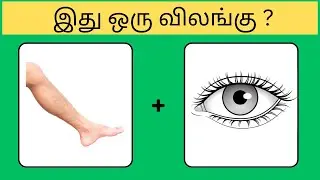 Guess the animal quiz  | Brain games Tamil | Picture Clues Riddles | Puzzle Game | Brainy Mind