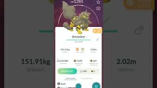 Evolve the shiny hisui Arcanine! #Shorts