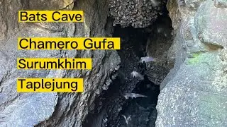 Chamero Gufa ( Bats Cave), @ Amatar Surumkhim, Sidingwa-7, #Taplejung