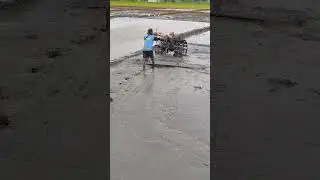traktor sawah hand tractor plowing rice fields 072 #tractor #handtractor #traktor #traktorsawah