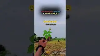 उसने भी छोड़ दिया s#Shorts #Video #Virals vine