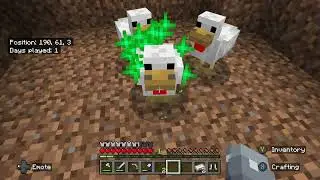 minecraft chicken breeding