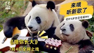 抢先聆听！和花和叶5岁生日歌，独家片段限时解锁