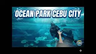 Cebu City Aquarium 4K Tour Gorgeous Tanks Filled with Tropical Fish