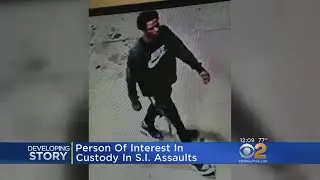 Person Of Interest In Custody In SI Sex Attacks